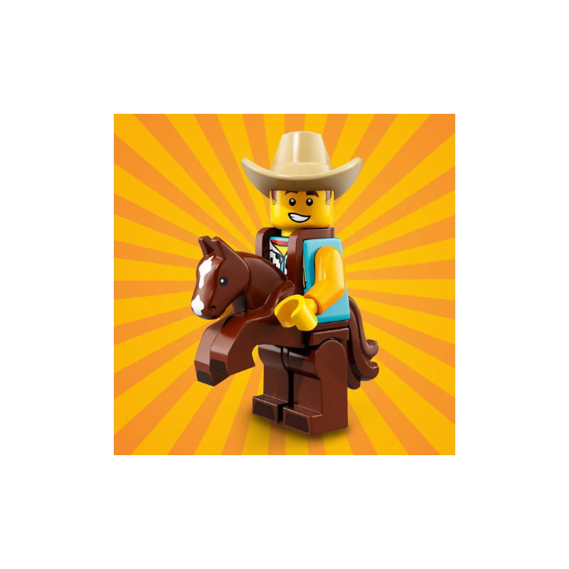 Cowboy Costume Guy