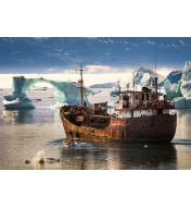 Disko Bay - Greenland 1000...