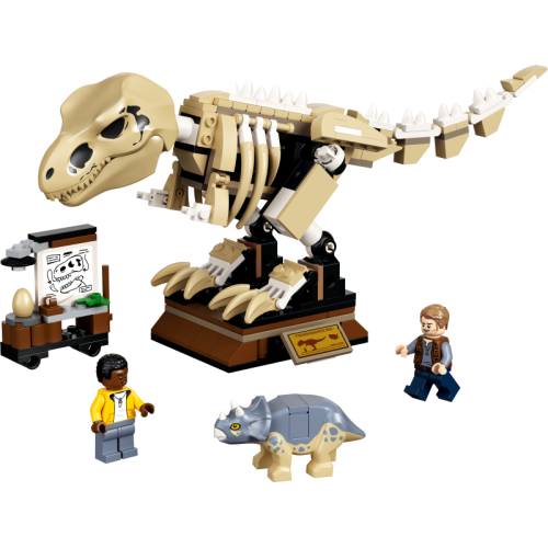 T. rex Dinosaur Fossil...